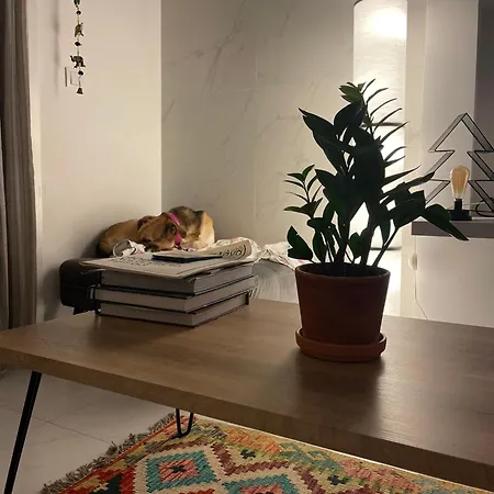 Apartamento Grey *